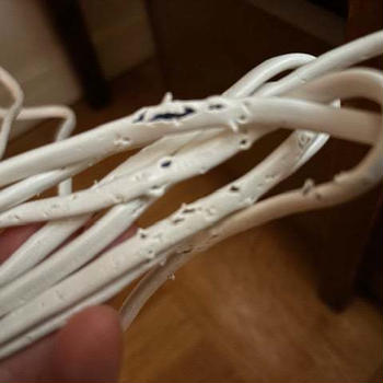 かじられた電気のコード
