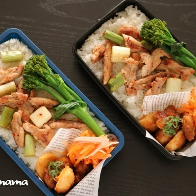 最後の男子高校生弁当