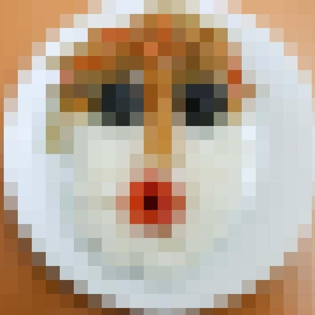 顔メシ始め