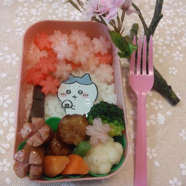 ハチワレちゃんお花見弁当〖キャラ弁〗  #平日お昼ご飯はお弁当or外食