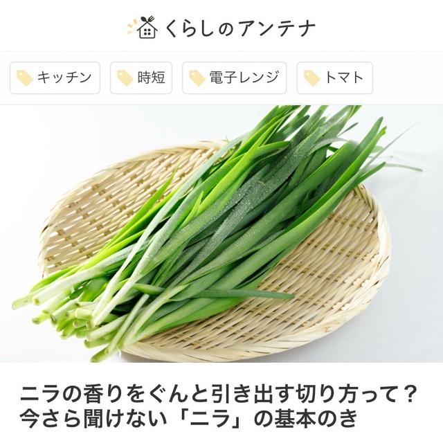 【ご報告】くらしのアンテナに掲載いただきました　ニラ　栃木産ニラ　スタミナ　夏バテ