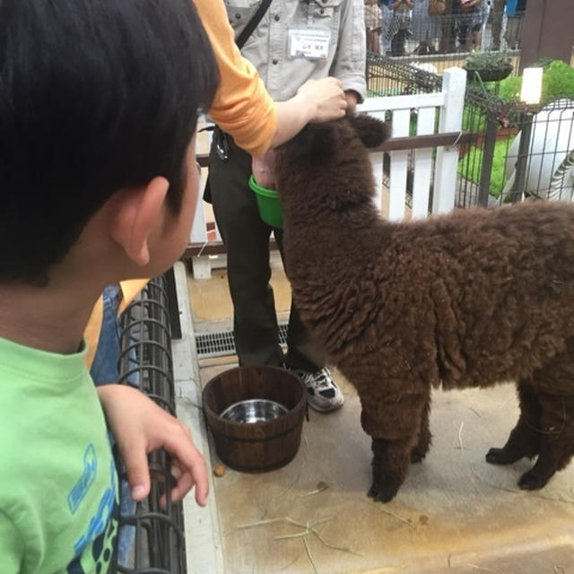連休のお出かけ！神戸どうぶつ王国