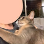 甘えんボーイとデレデレ飼い主