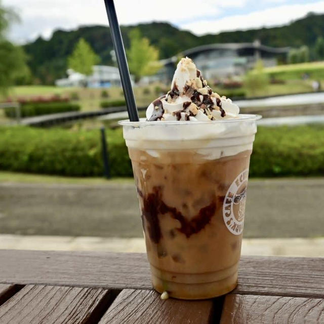 国営越後丘陵公園のソフトクリームとカフェラテ♡
