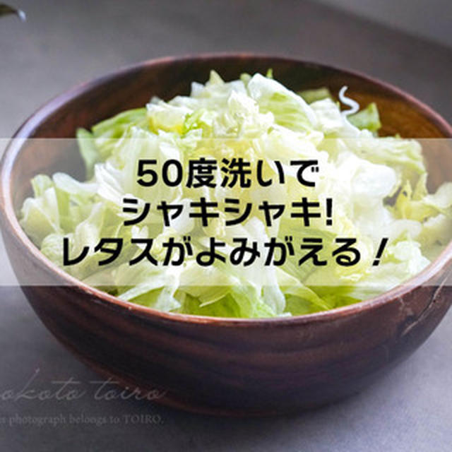 50度洗いでシャキシャキ！レタスがよみがえる！