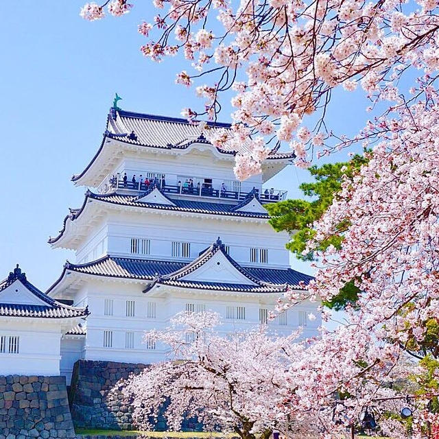 春の箱根温泉旅行