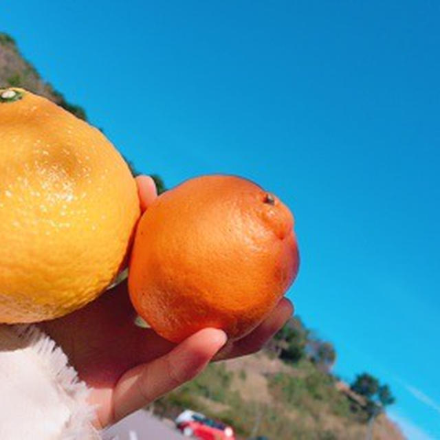 宮崎旅行 道の駅 青島編