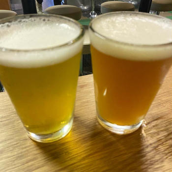 渋谷　クラフトビールありの大衆居酒屋「麦酒宿まり花」