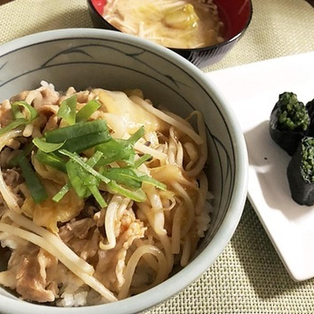 これがあるからやってられます&白菜と豚肉のどんぶり