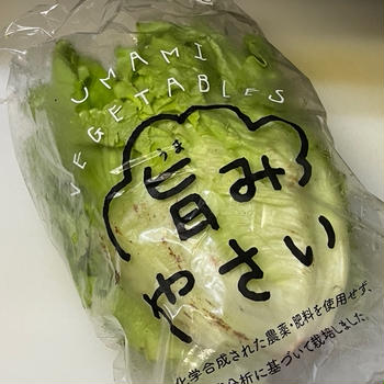 坂ノ途中・宅配野菜セット｜長野県産・美味レタスのレビュー