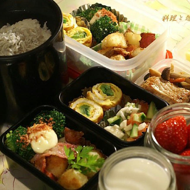 男の弁当《主人の朝弁と昼弁当のご紹介》／《我が家の錦華鳥》です！！