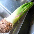 「ずいき」の茎と芋　★山形の郷土料理★ by グリーンクッキングアベさん