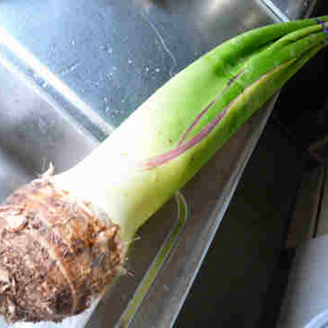 「ずいき」の茎と芋　★山形の郷土料理★
