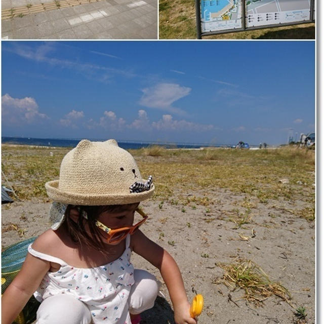 【関西最大級】７月オープンした泉南りんくう公園(センナンロングパーク)に行ってきました！