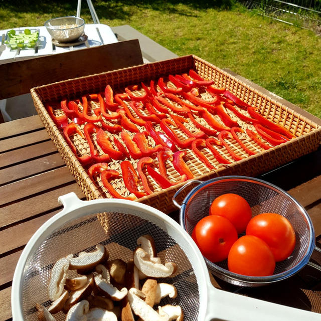 Une conservation longue et un goût savoureux ! Comment faire des Légumes séchés ?