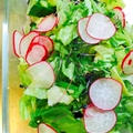 大家族に！レタスと大葉のもりもり作り置きサラダ