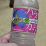 北海道に行った気分で