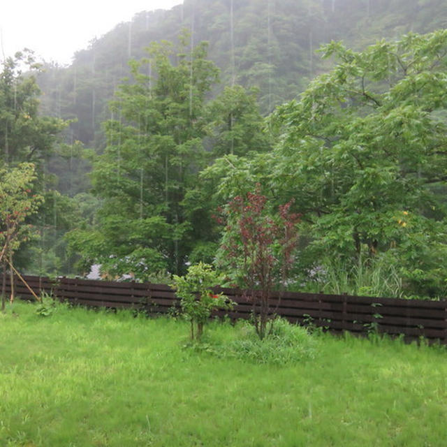 雷ゴロゴロ【夏休み中】