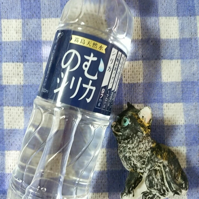 身体が喜ぶ♪極撰市場 霧島天然水 のむシリカ