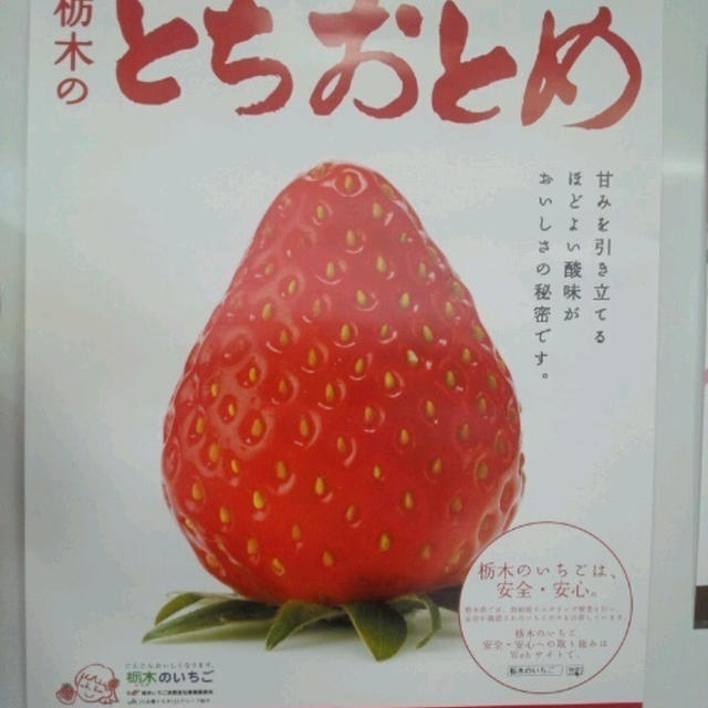 とちおとめ試食会♪
