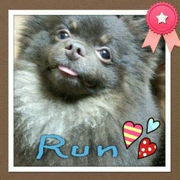 今日の1枚☆