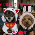あけましておめでとうございます！！