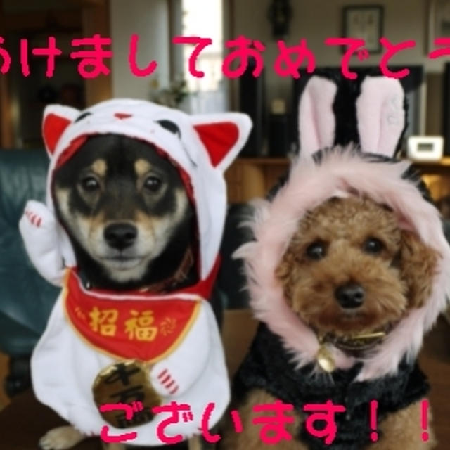 あけましておめでとうございます！！