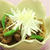 いいとこ取りなすき焼き風☆　　Like a Sukiyaki, with my family's Favorites☆