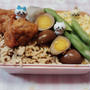 生姜そぼろとたまごそぼろのお弁当【のっけ弁当】  #節約弁当
