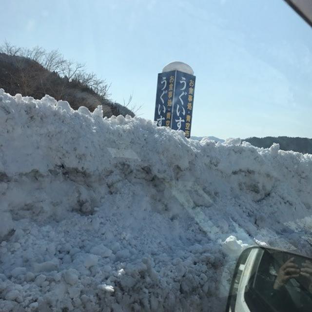 2月の雪