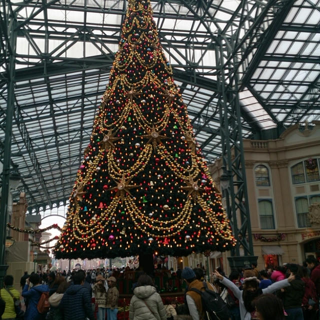 ディズニーランド*クリスマス