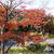 ☆2010 晩秋の京都⑤：宝厳院☆
