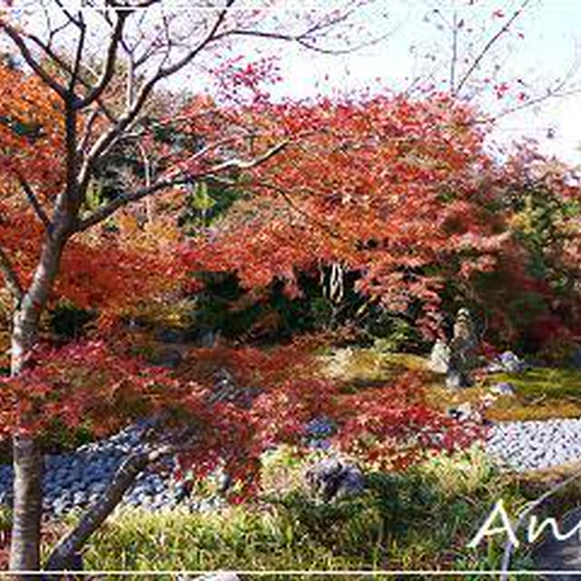 ☆2010 晩秋の京都⑤：宝厳院☆