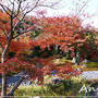 ☆2010 晩秋の京都⑤：宝厳院☆