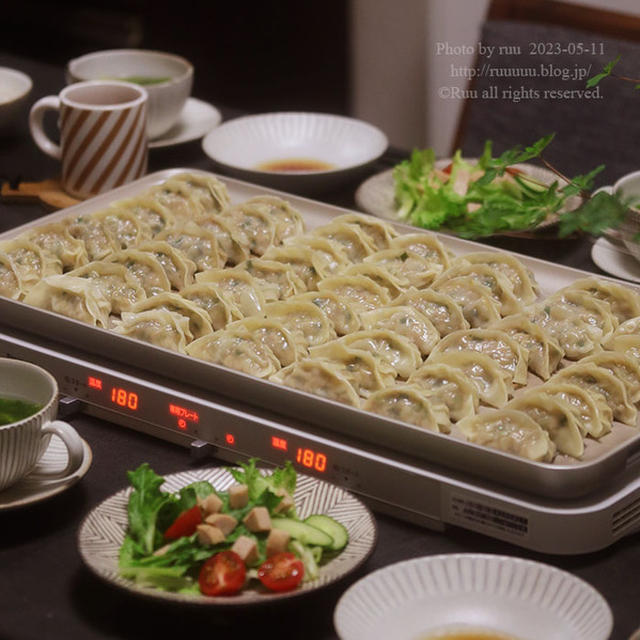 【献立】餃子と、サラダチキンのっけサラダと、姫皮とあおさのスープと。～コイヌーの変化～