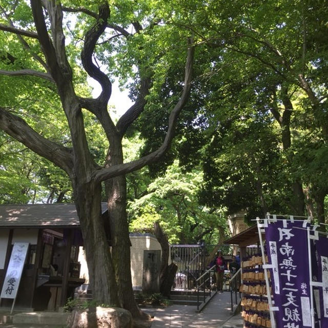 【 深大寺からのハンモック！！】