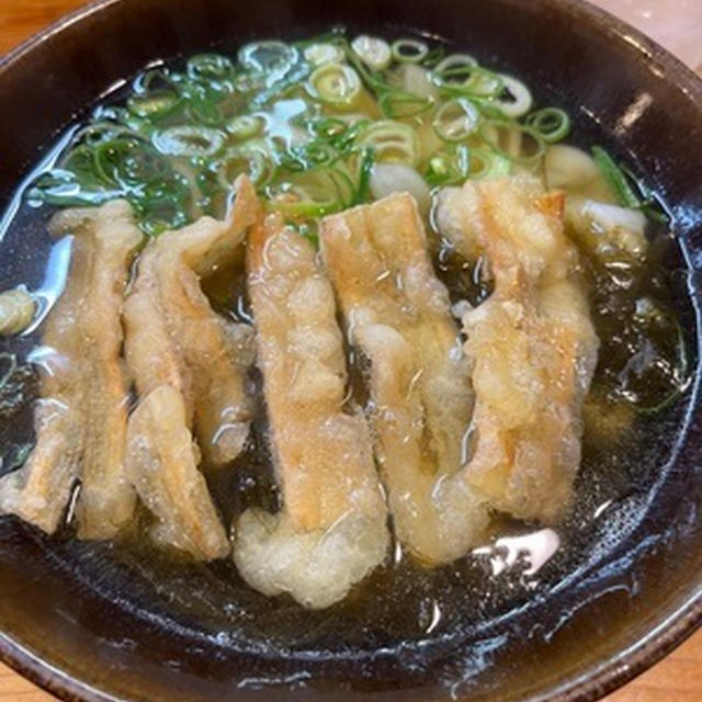 ごぼ天うどん食べて広島へ