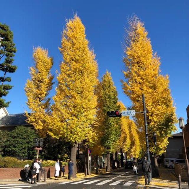 母の退院