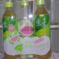 生茶パンダ先生inボトル