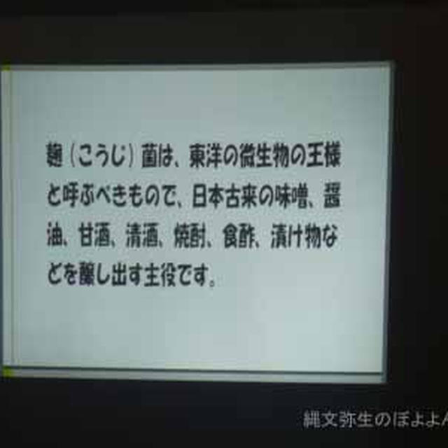 ひとさじで料亭の味！魔法の糀レシピ出版記念 こうじ屋ウーマントークライブ②NHKきょうの料理