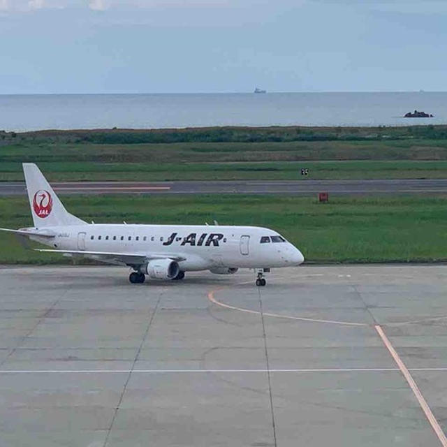 知らんがな。
