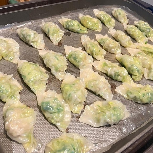 困った甘ったれさん＆半端野菜で餃子