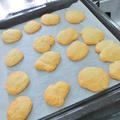 子どもクッキング☆手作り豆腐からクッキー＆ドーナツ作り