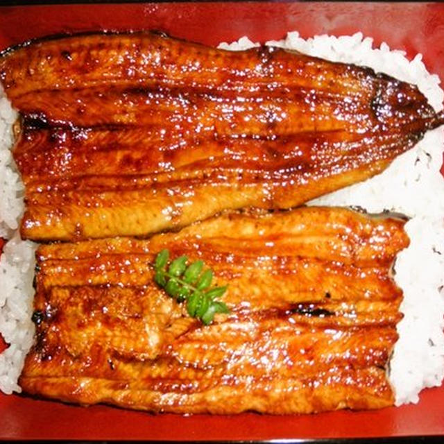 鰻の話２０１２