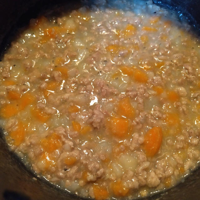 泣きながら作ったワンコ食。