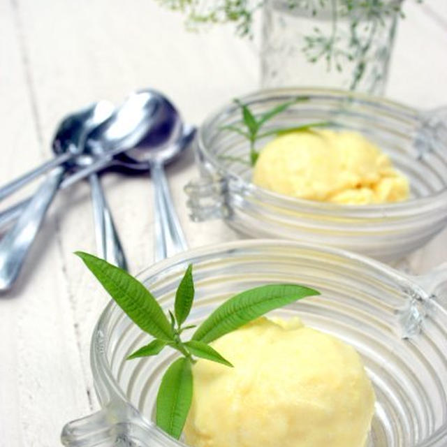 Piña Colada Sorbetピニャコラーダソルベ