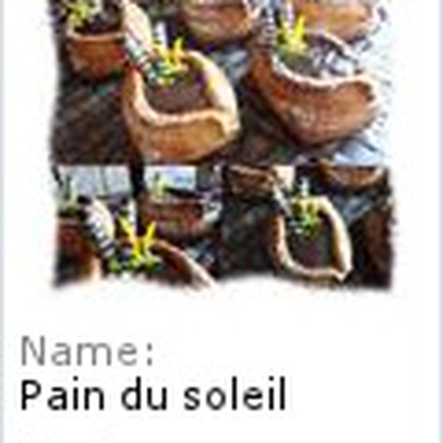 フェイスブックを使いこなせんのよね