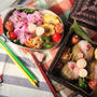 お花見弁当
