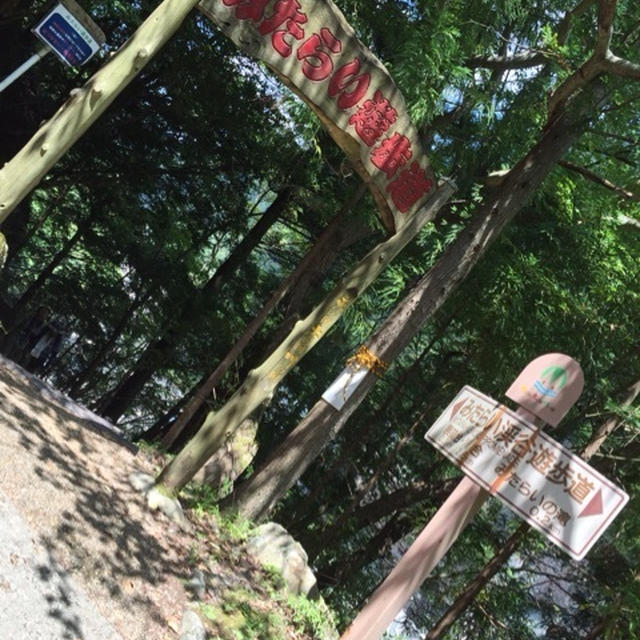 みたらい渓谷旅。