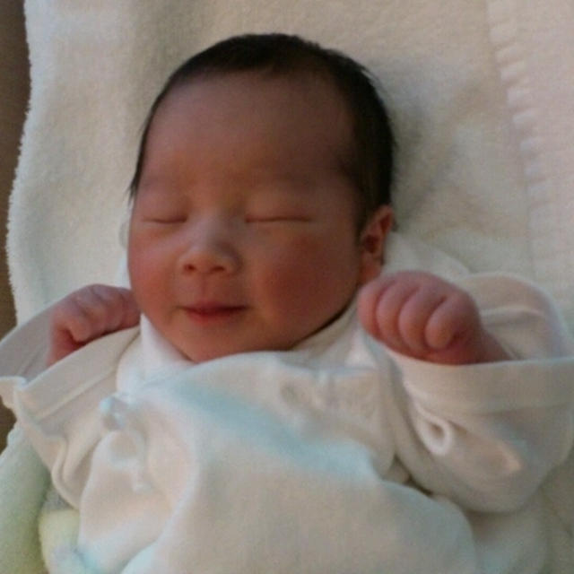 花見の季節ももう終わり。